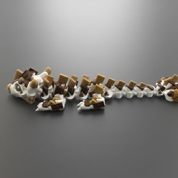Baby S'more Dragon