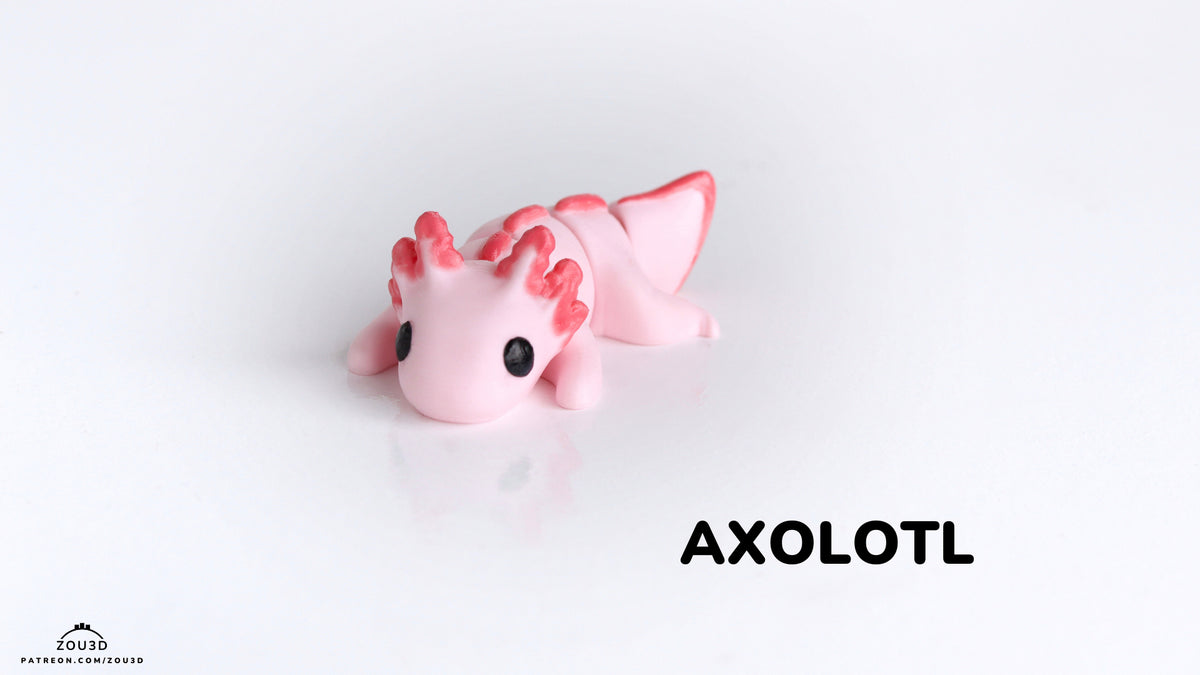 Baby Axoloto