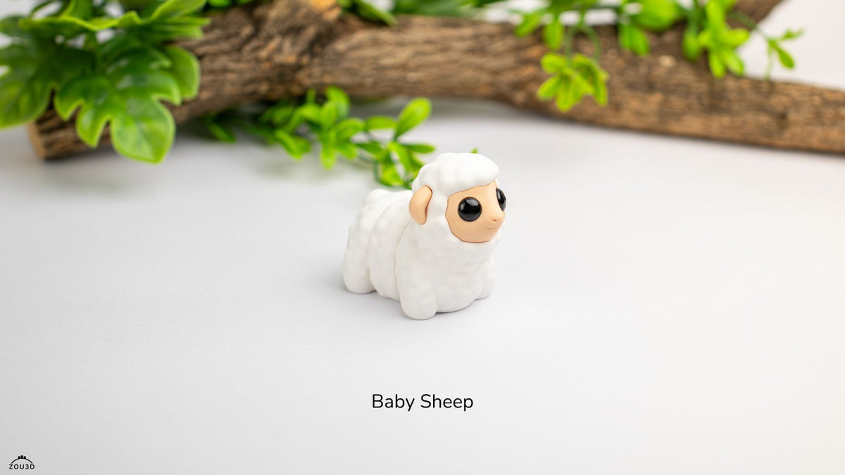 Baby Sheep