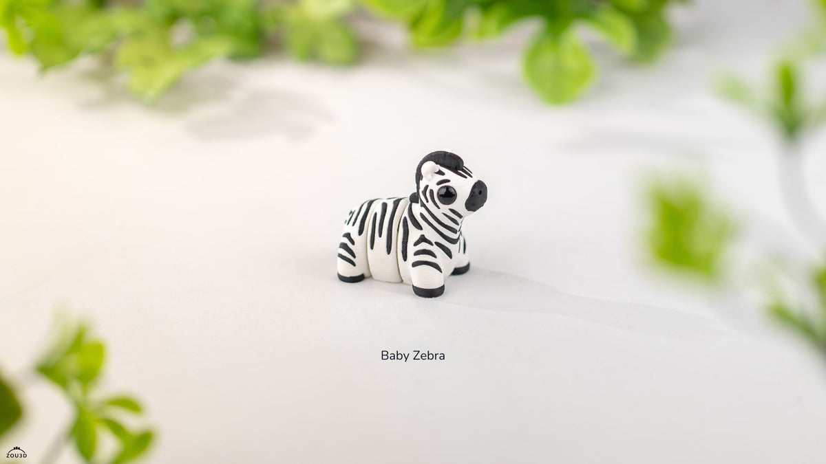 Baby Zebra