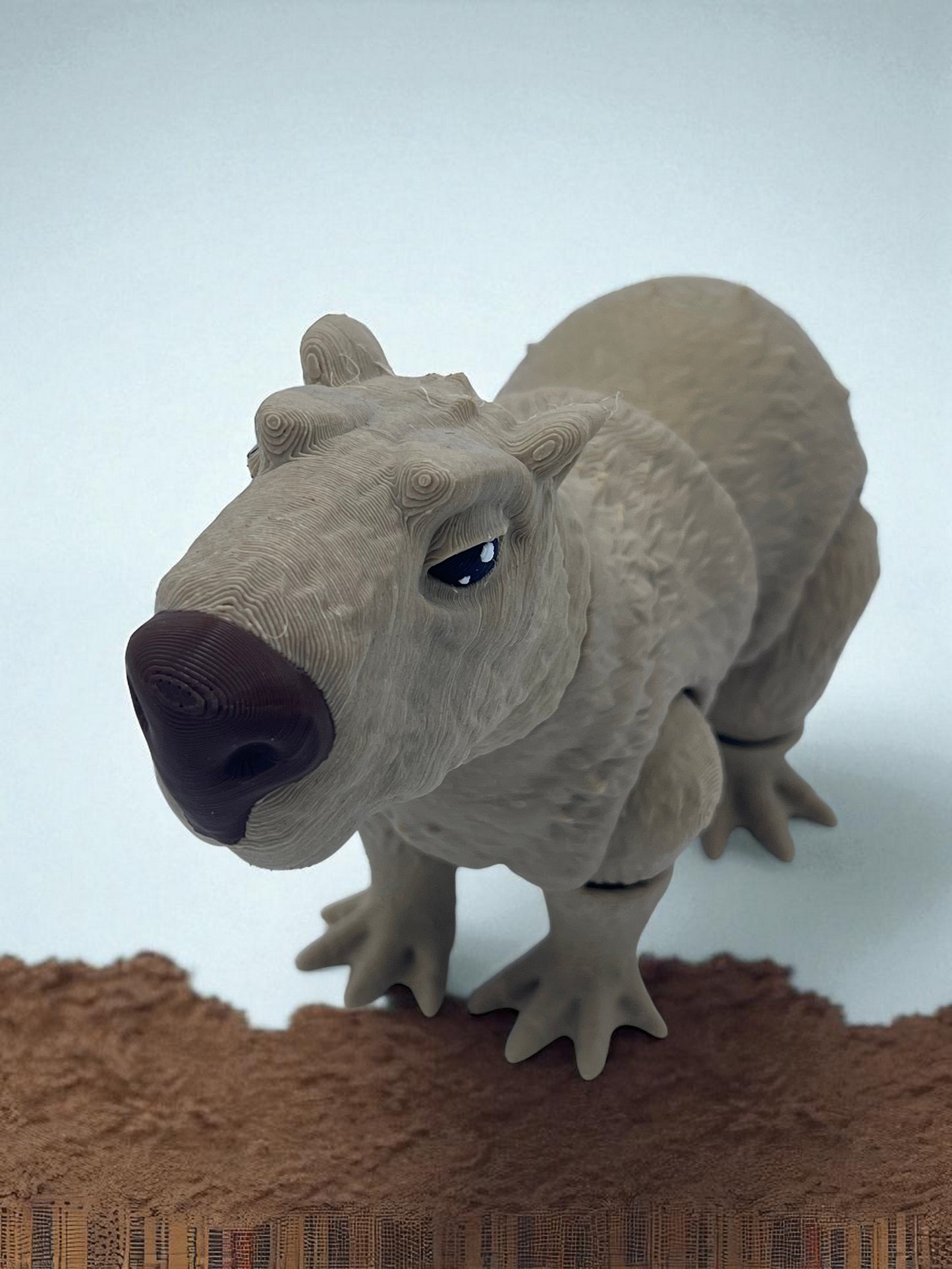 Capybara