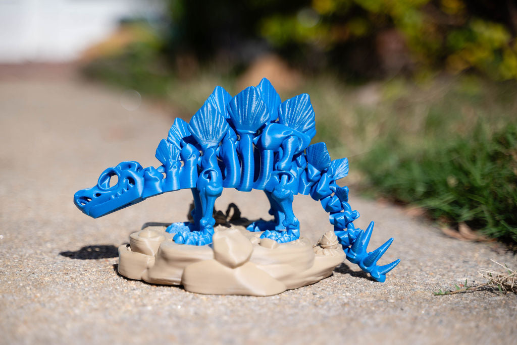 Skeleton Stegosaurus with Stand