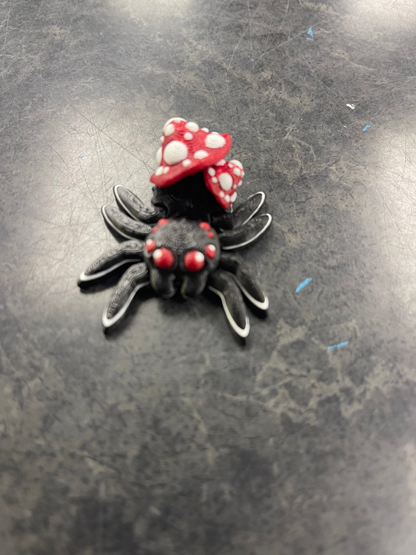 Cinderwing Fall Spiders