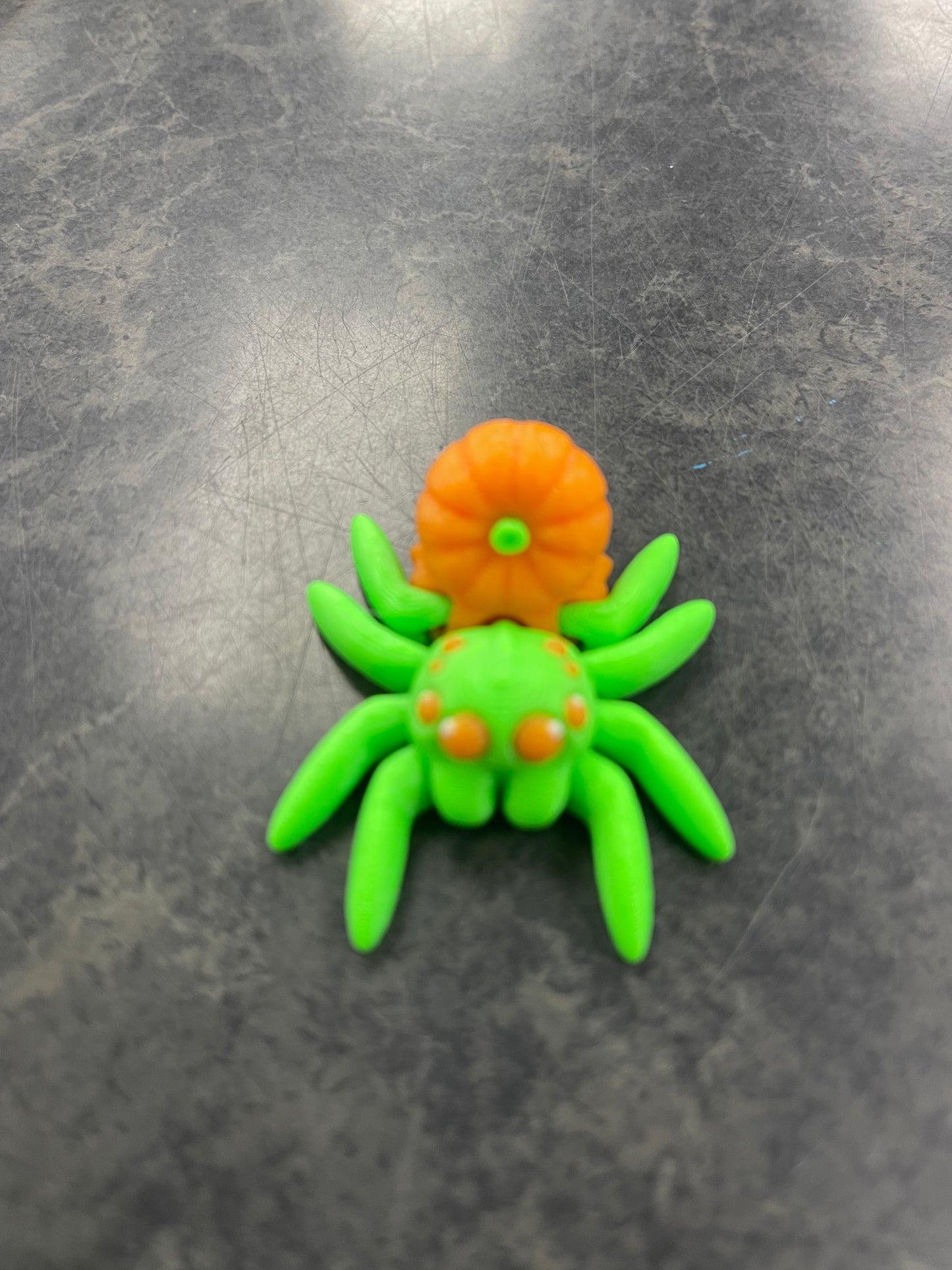 Cinderwing Fall Spiders