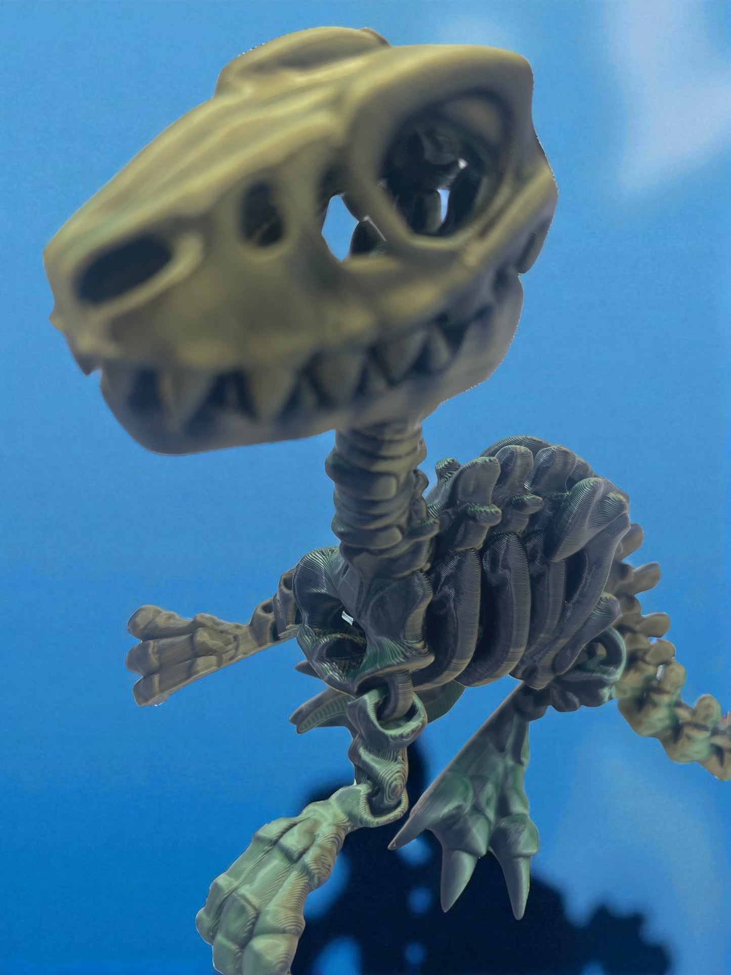 Skeleton Raptor with Stand