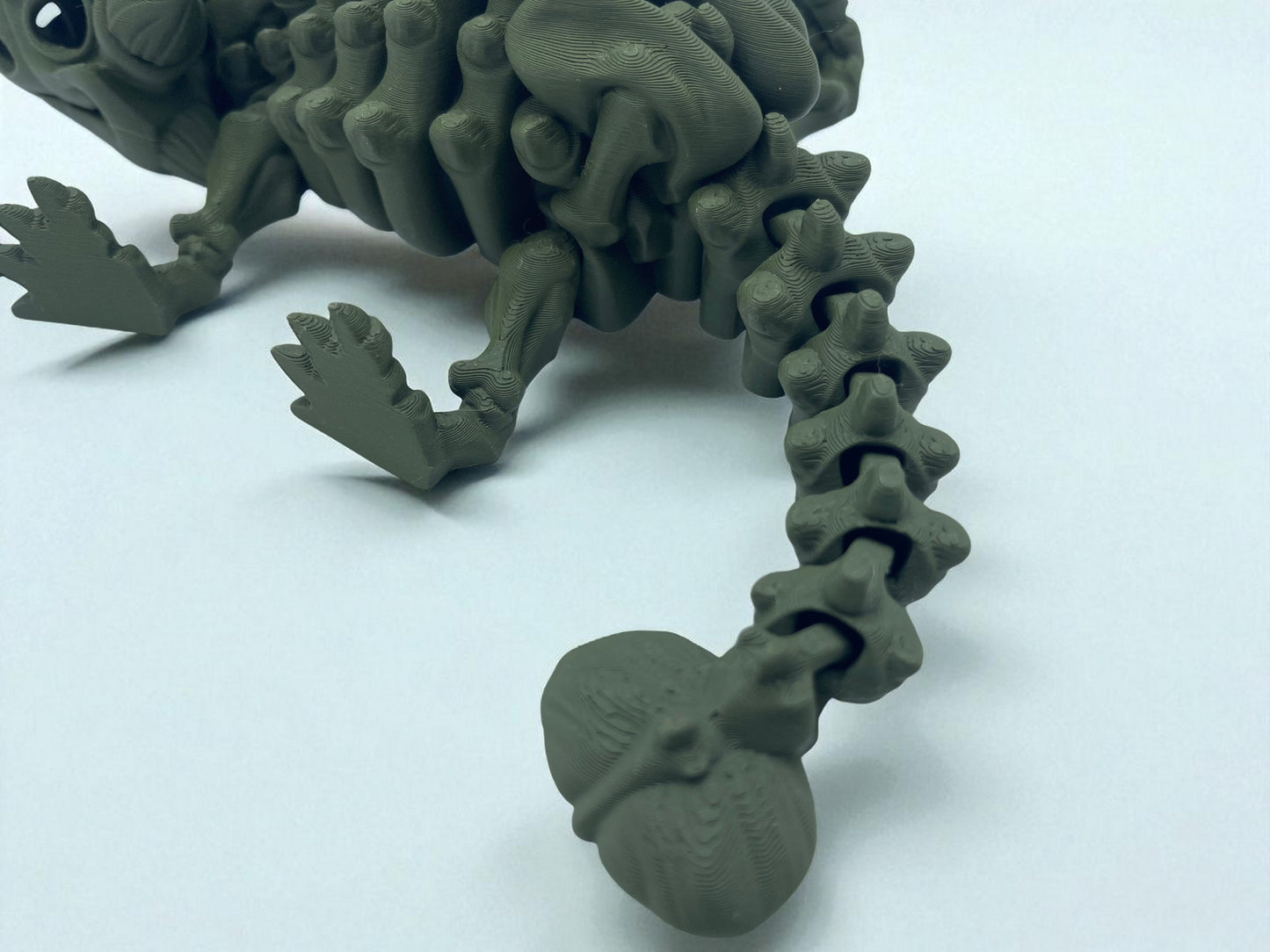Skeleton Ankylosaurus with Stand