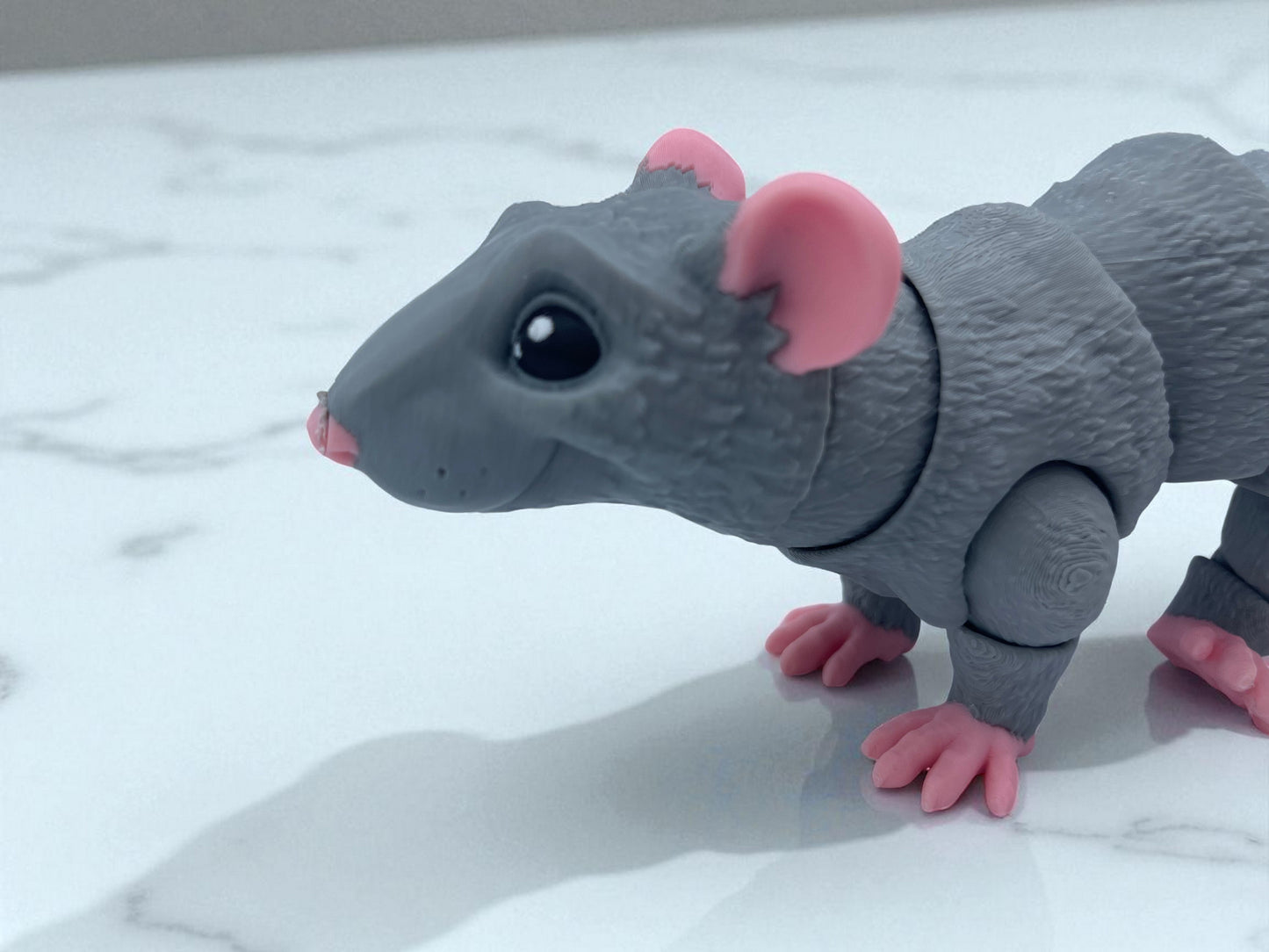 Rat