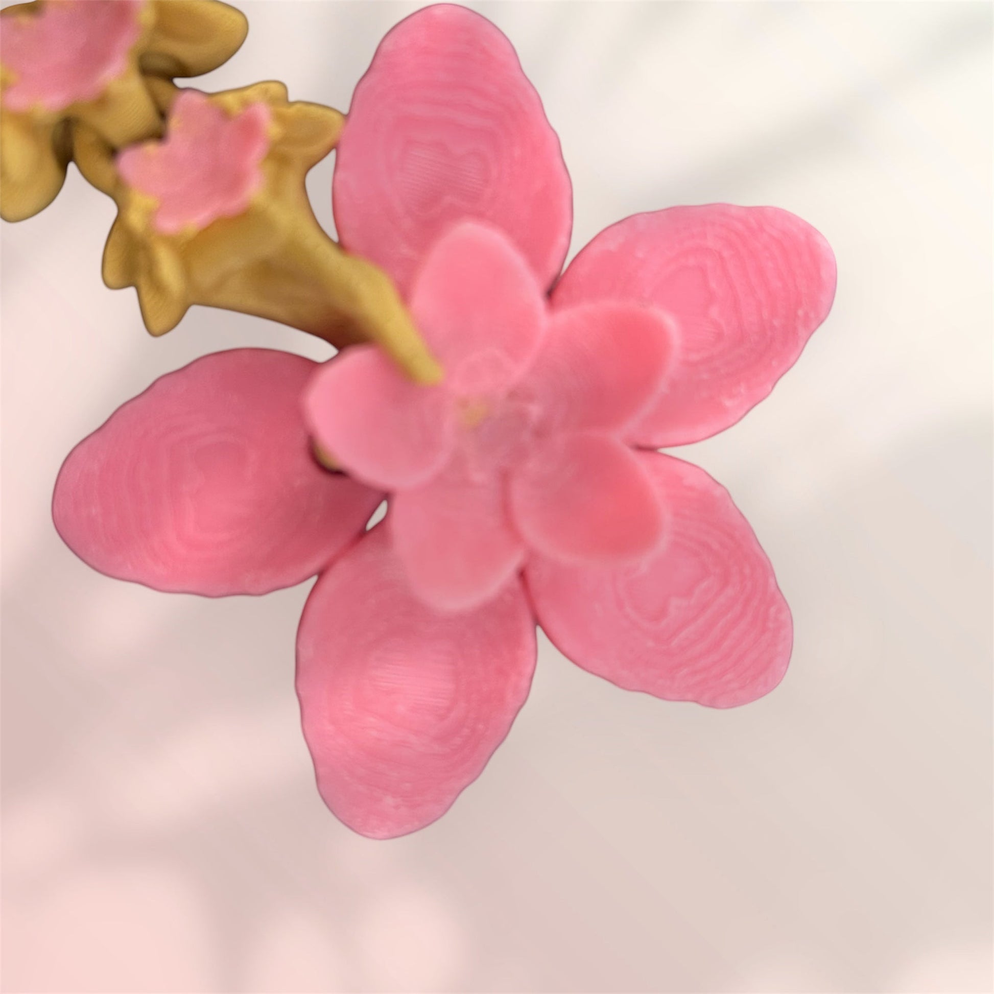 1 Layer At A time Baby Cherry Blossom Dragon figurine with pink pearlescent scales and sakura-inspired wings.