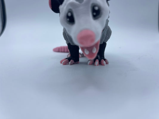 Possum
