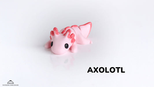 Baby Axoloto