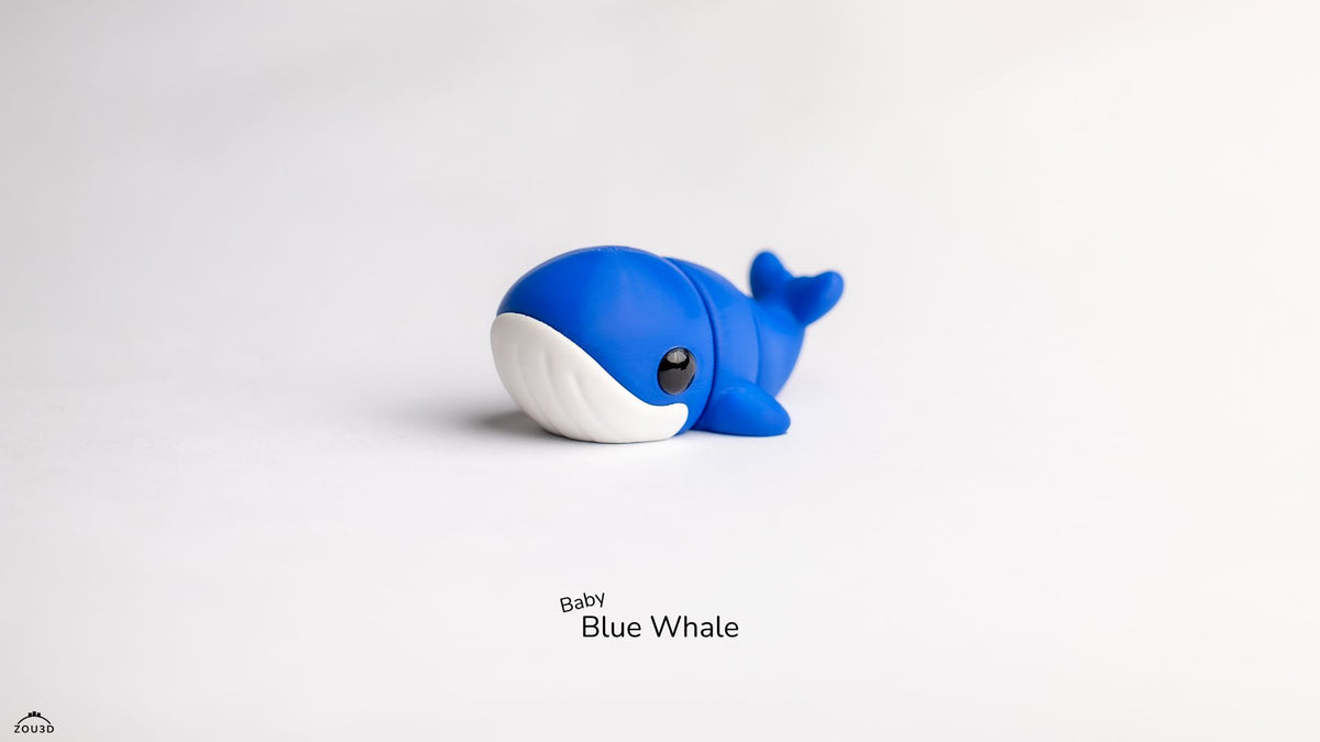 Baby Blue whale