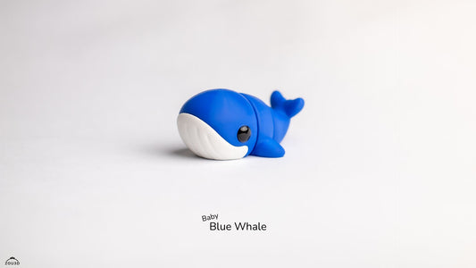 Baby Blue whale