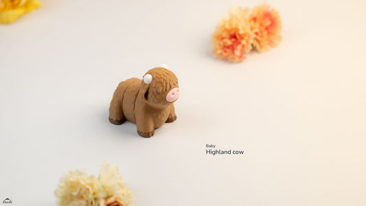 Baby Highland Cow