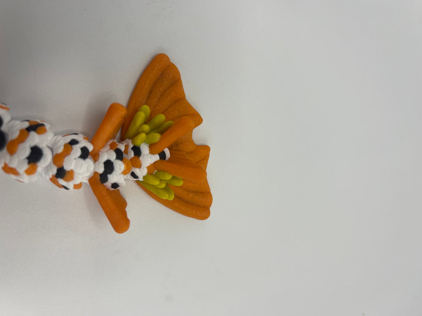 Baby Koi Fish Dragon