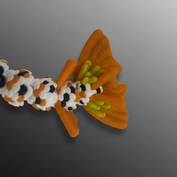 Baby Koi Fish Dragon