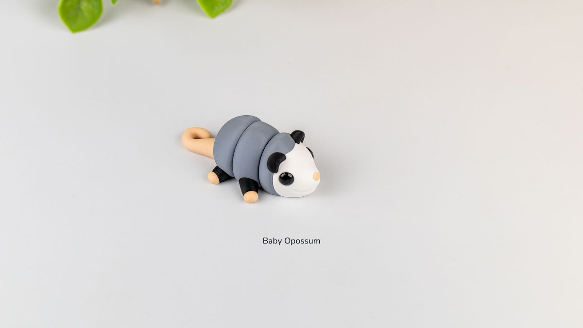 Baby Opossum