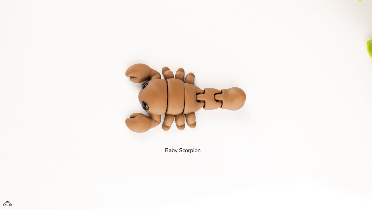 Baby Scorpion