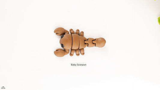Baby Scorpion