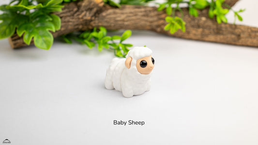 Baby Sheep
