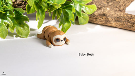 Baby Sloth