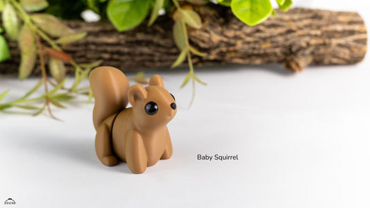 Baby Squirrel