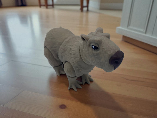 Capybara