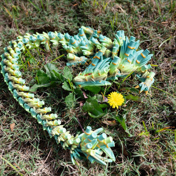 3D printed Dragon