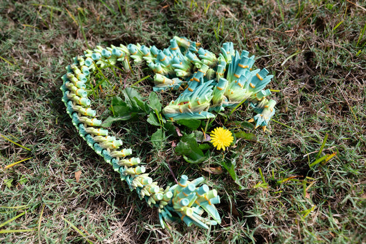 3D printed Dragon