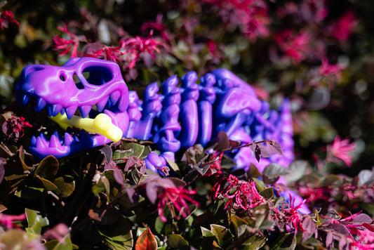 Skeleton T-Rex with Stand