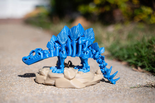 Skeleton Stegosaurus with Stand