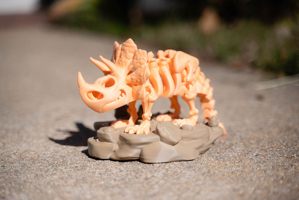 Skeleton Triceratops with Stand