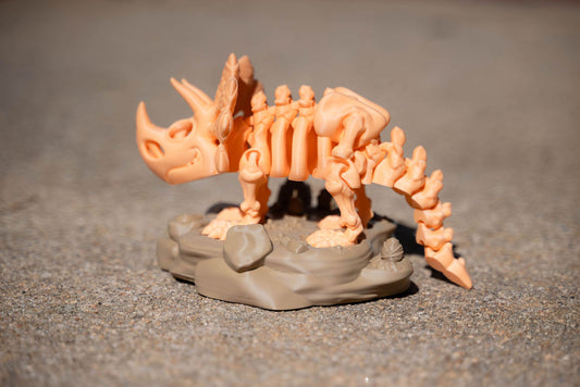 Skeleton Triceratops with Stand