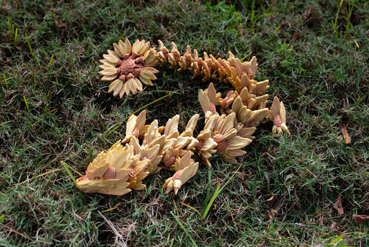 Over-the-top sunflower Dragon