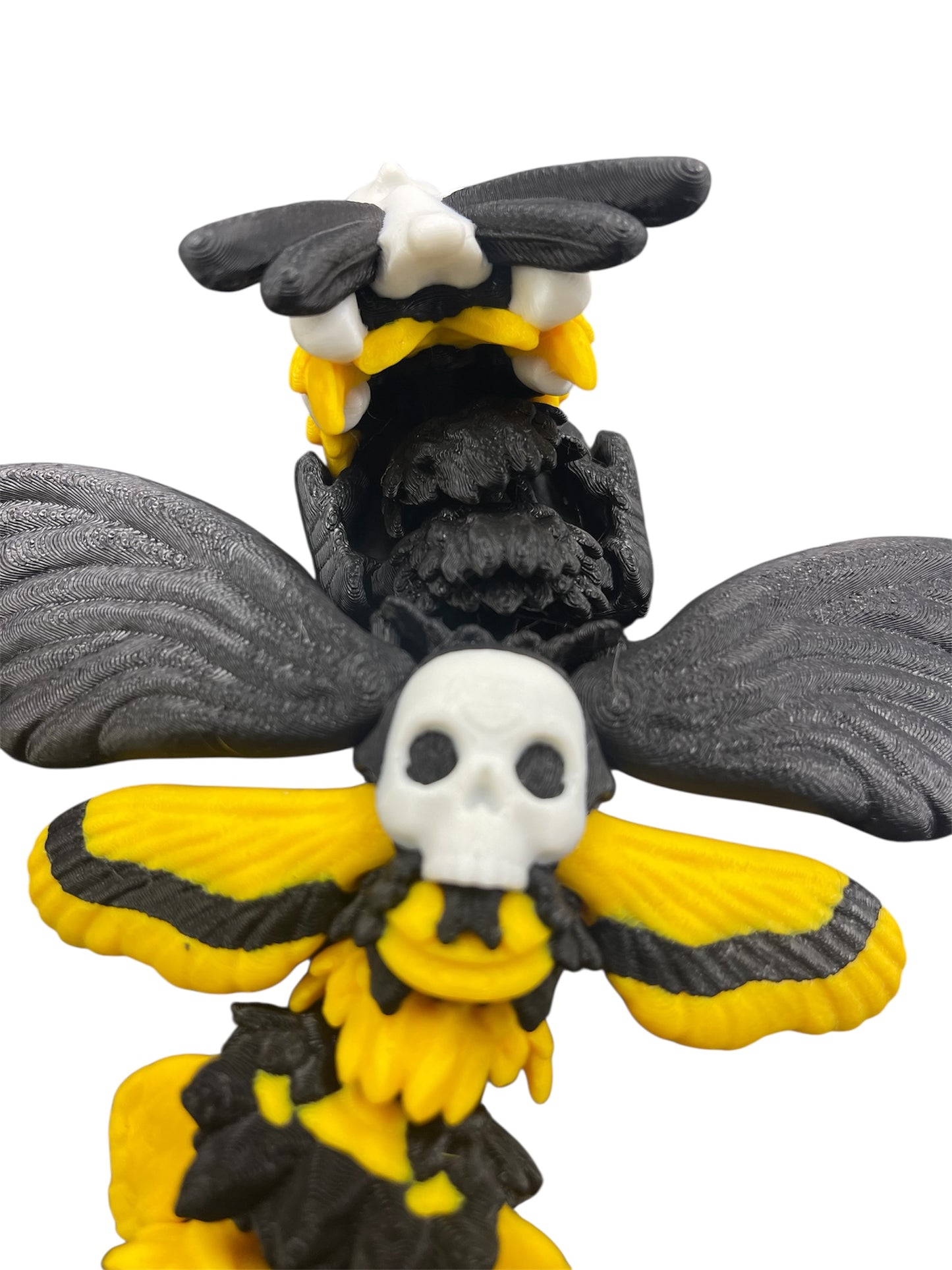 Death Moth Baby Dragon