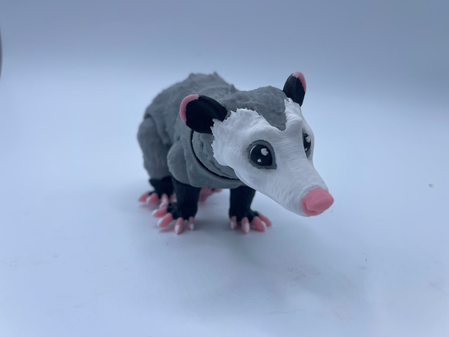 Possum