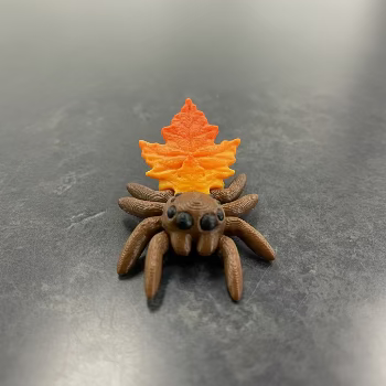 Cinderwing Fall Spiders