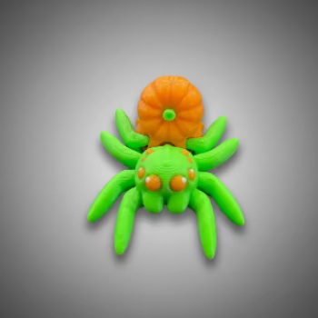 Cinderwing Fall Spiders