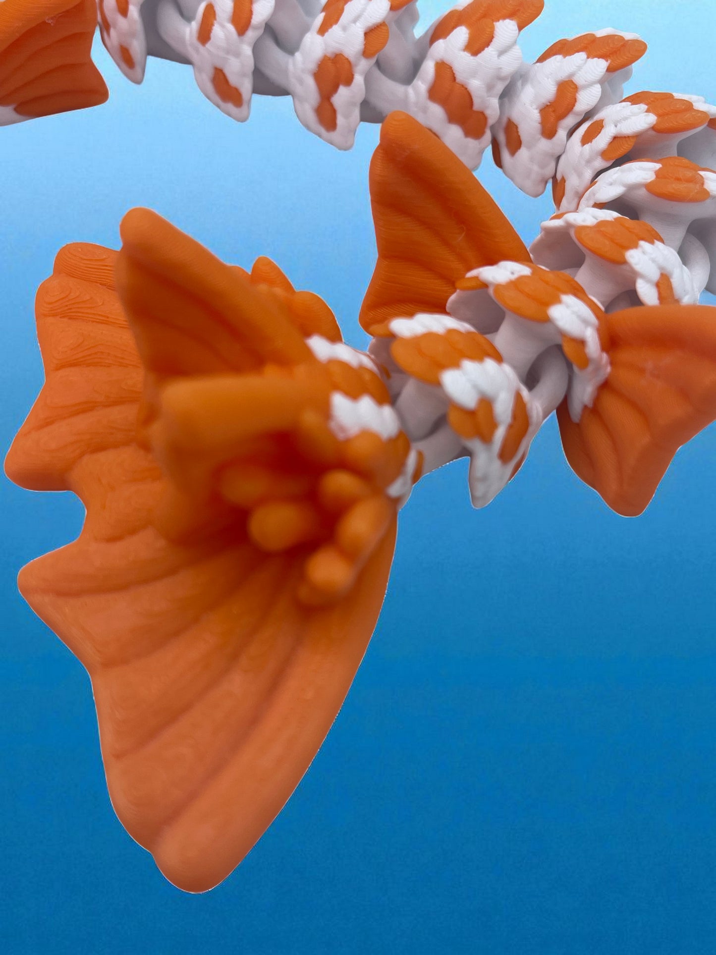 Koi tail