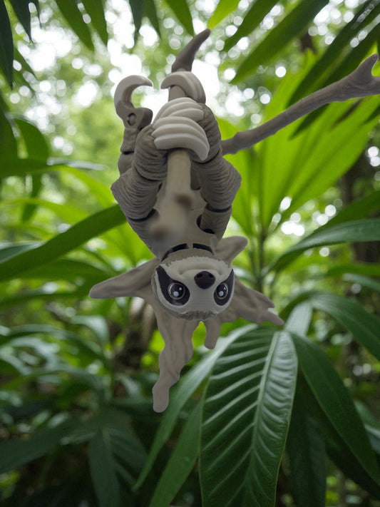 Sloth 