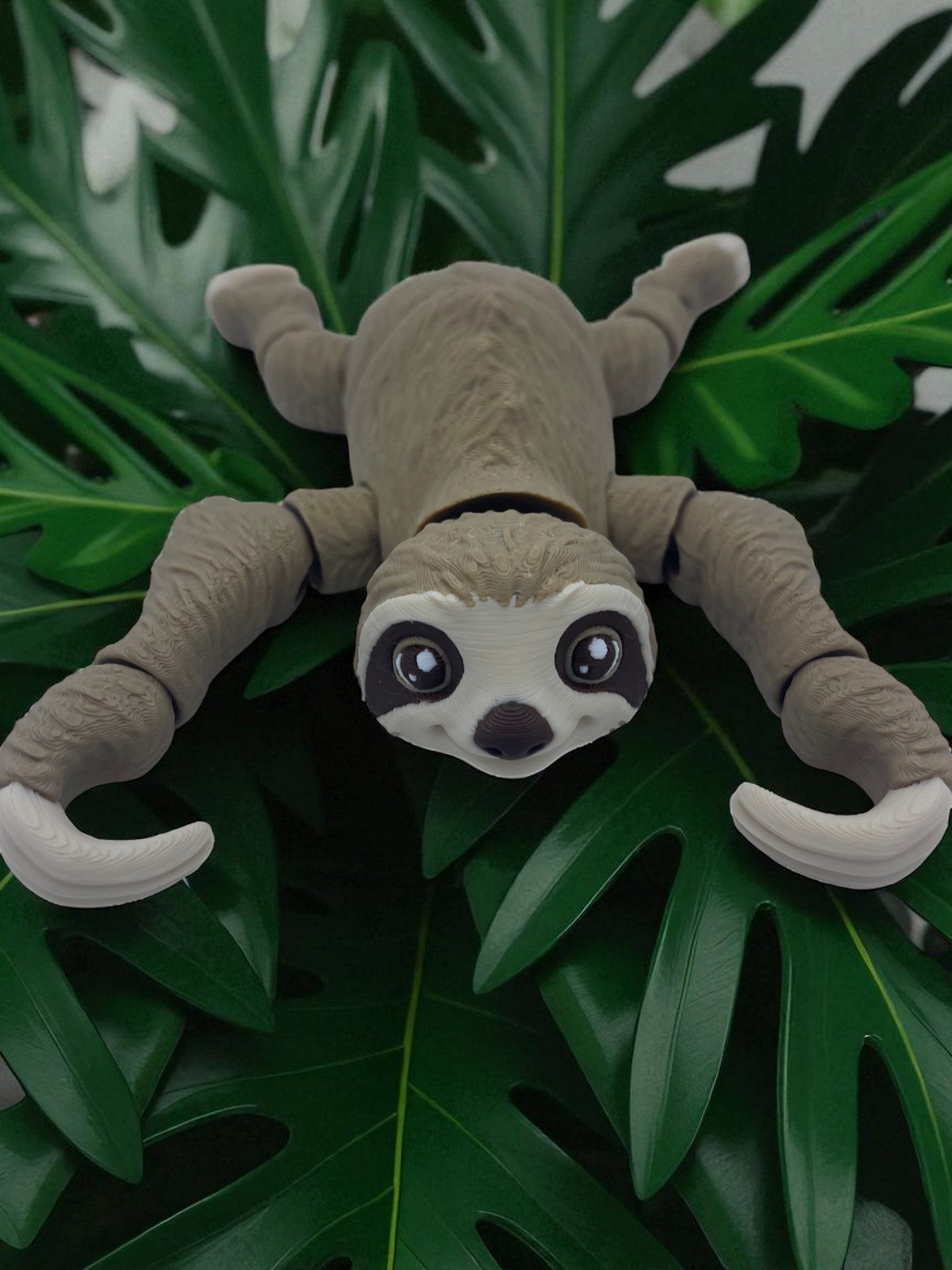 Cute sloth