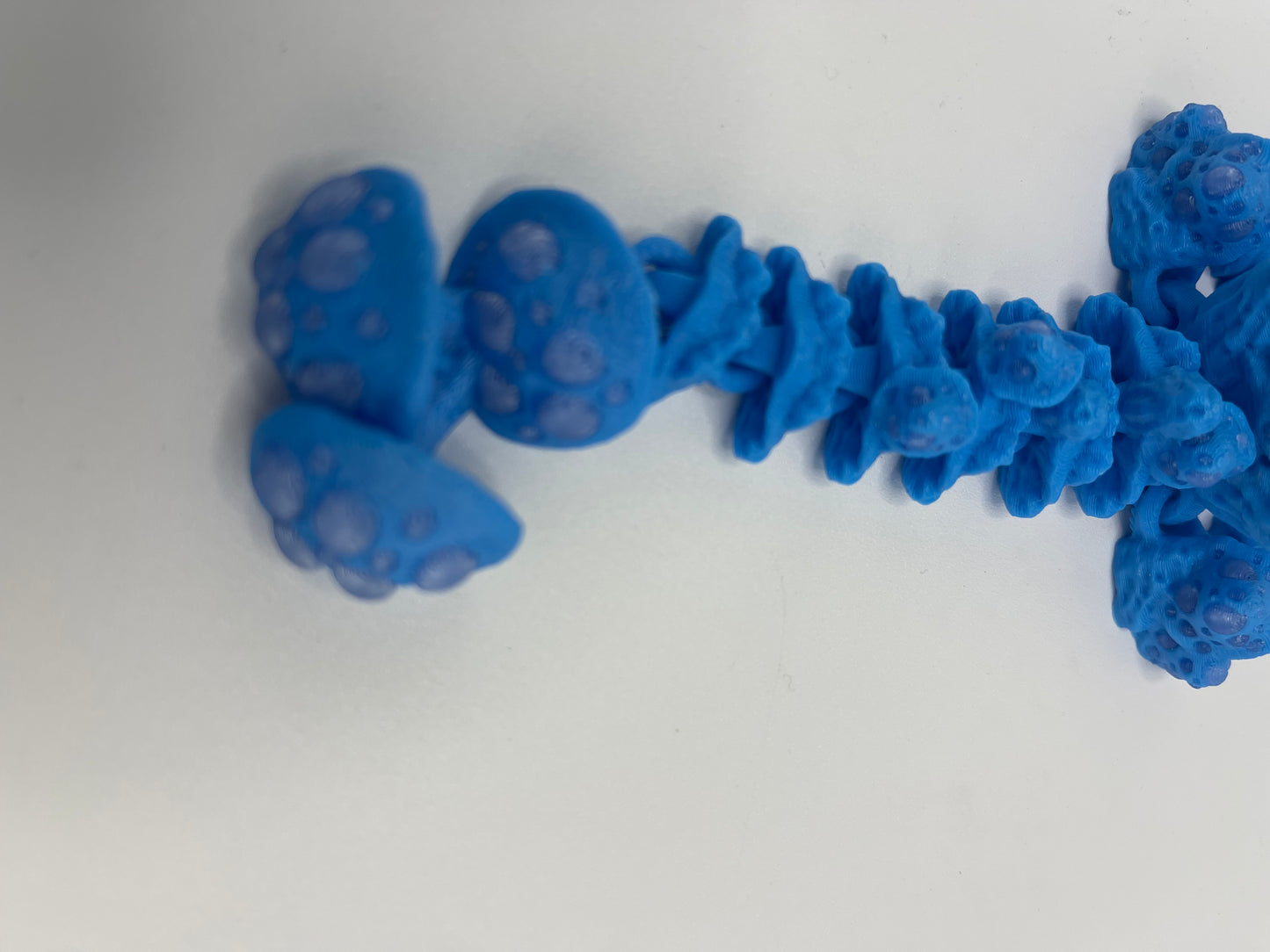 Baby Mushroom Dragon