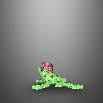 Murshroom Frog