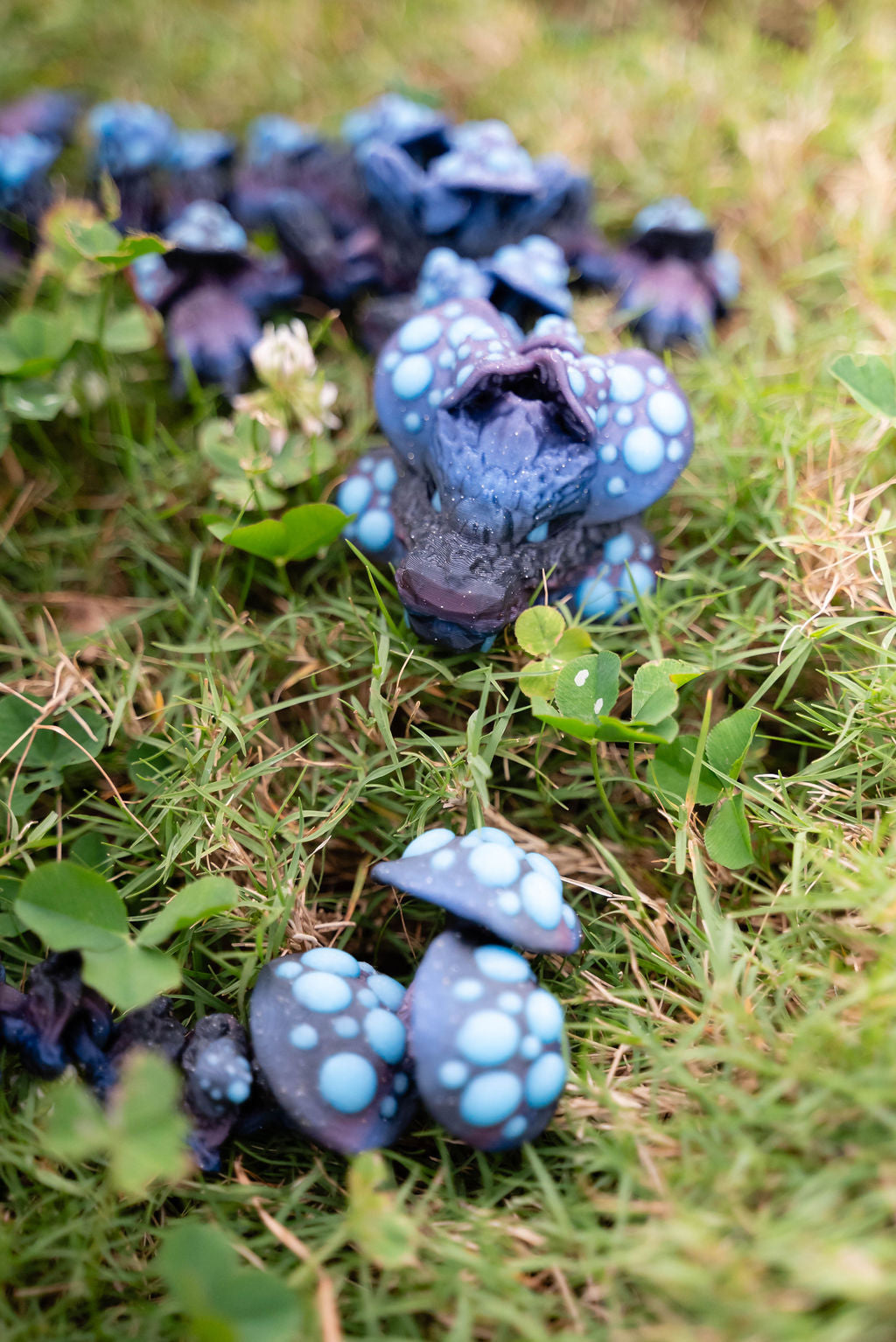 Blue and purple fairy mushrooms on grass