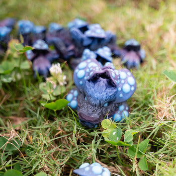 Blue and purple fairy mushrooms on grass