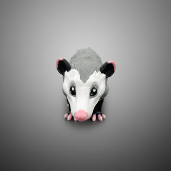 Possum