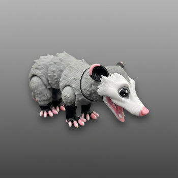 Possum
