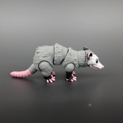 Possum