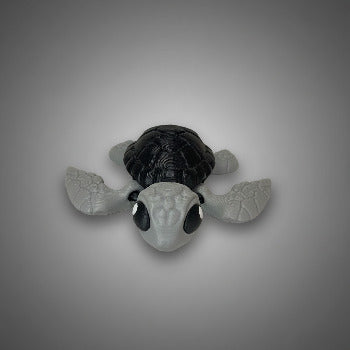 Sea Turtle