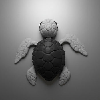 Sea Turtle