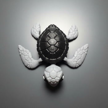 Sea Turtle